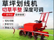 點(diǎn)擊查看詳細(xì)信息<br>標(biāo)題：草皮劃線(xiàn)機(jī) 閱讀次數(shù)：2866